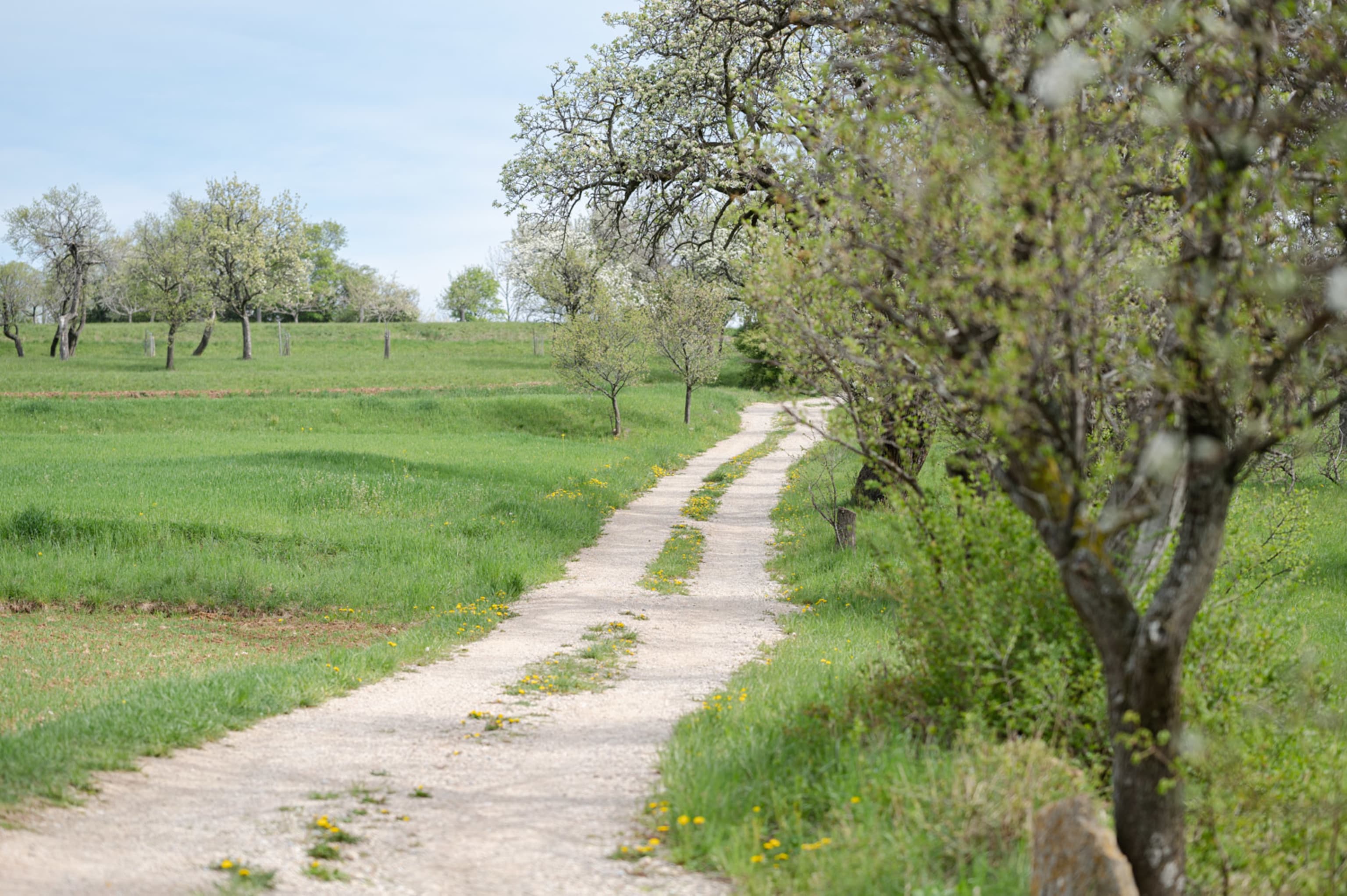 Frühling in Würflach, April 2023