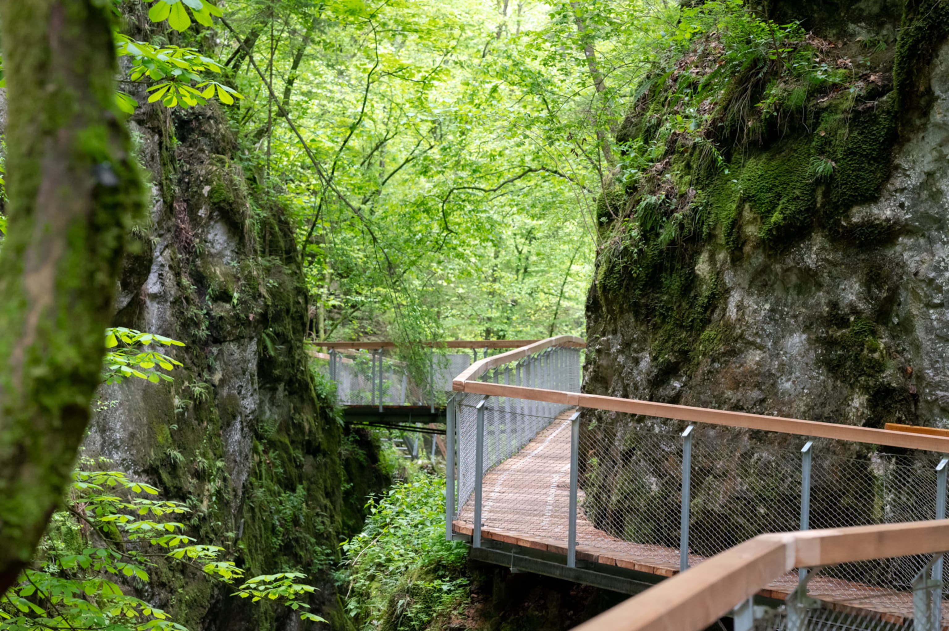Johannesbachklamm in Würflach, neue Stege vor Felswand