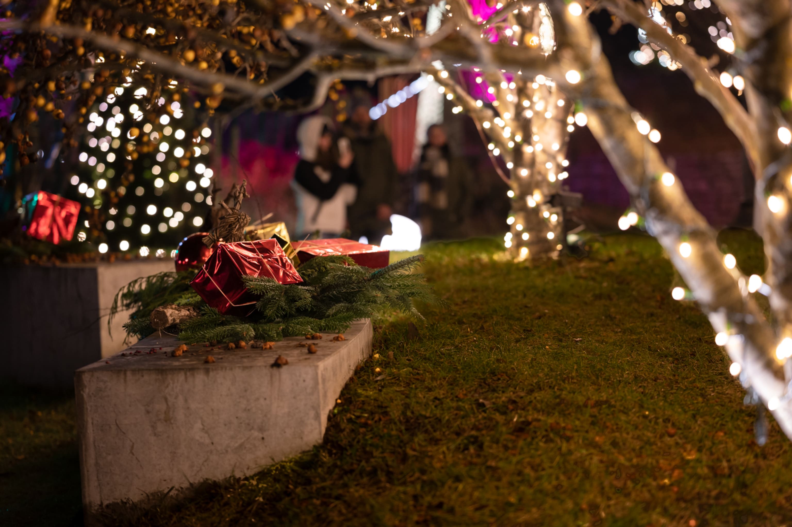 Detail Kittenberger Erlebnisgärten, weihnachtliche Dekoration und Beleuchtung