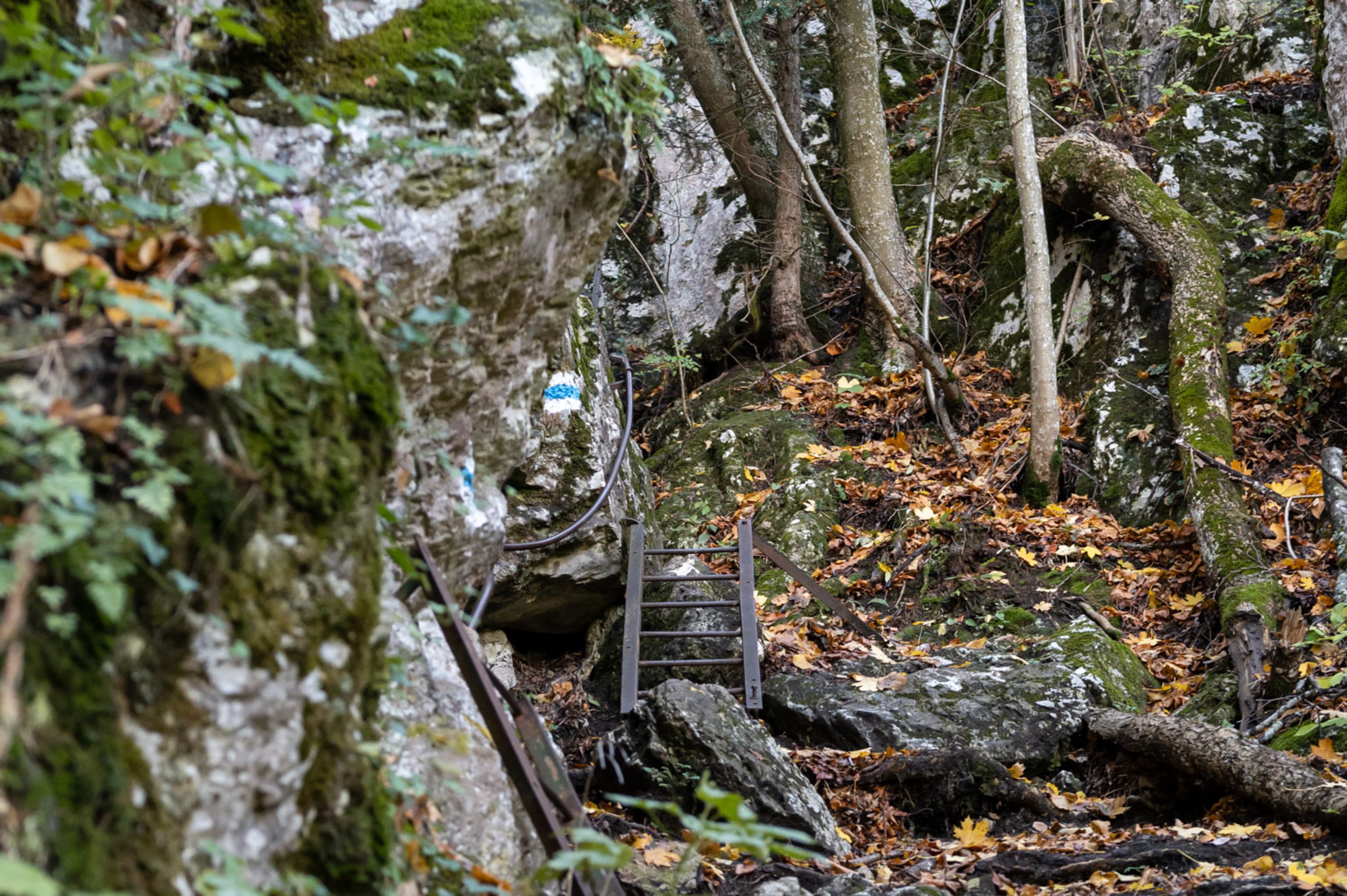 Leiter am Drobilsteig auf der Hohen Wand