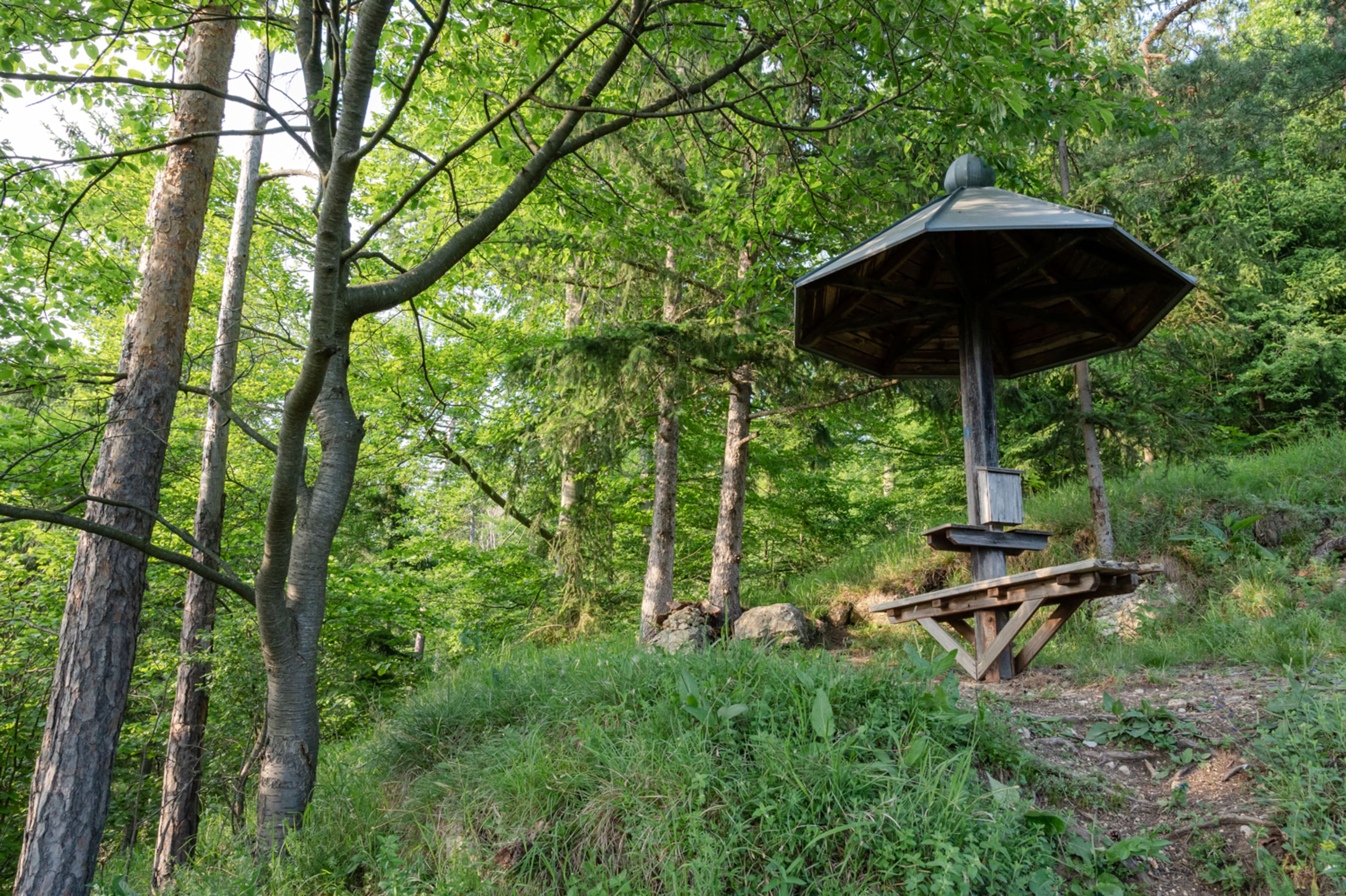 Die Annenruh bei Scheiblingkirchen in der Buckligen Welt, eiserne Schirm und Rastplatz