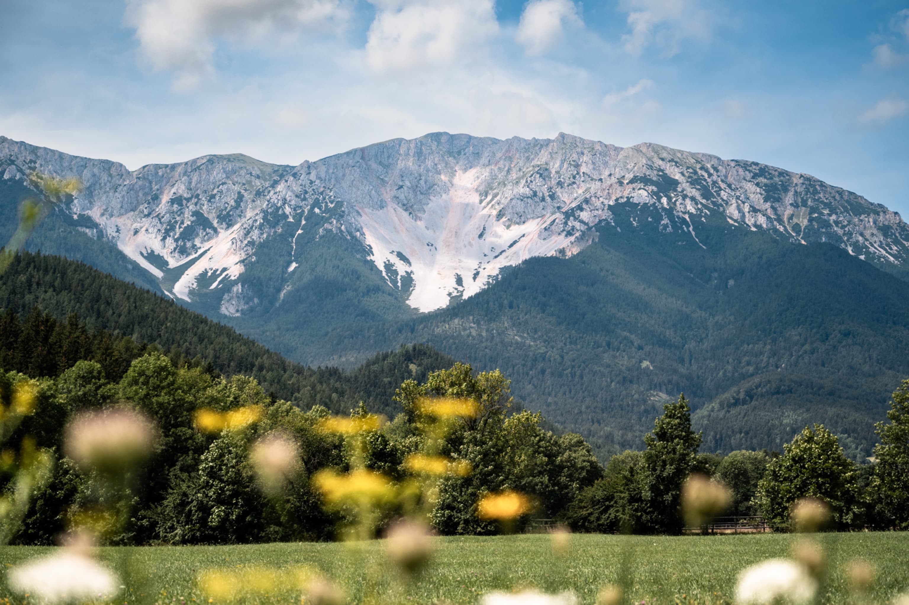 Blick auf den Schneeberg von Puchberg aus