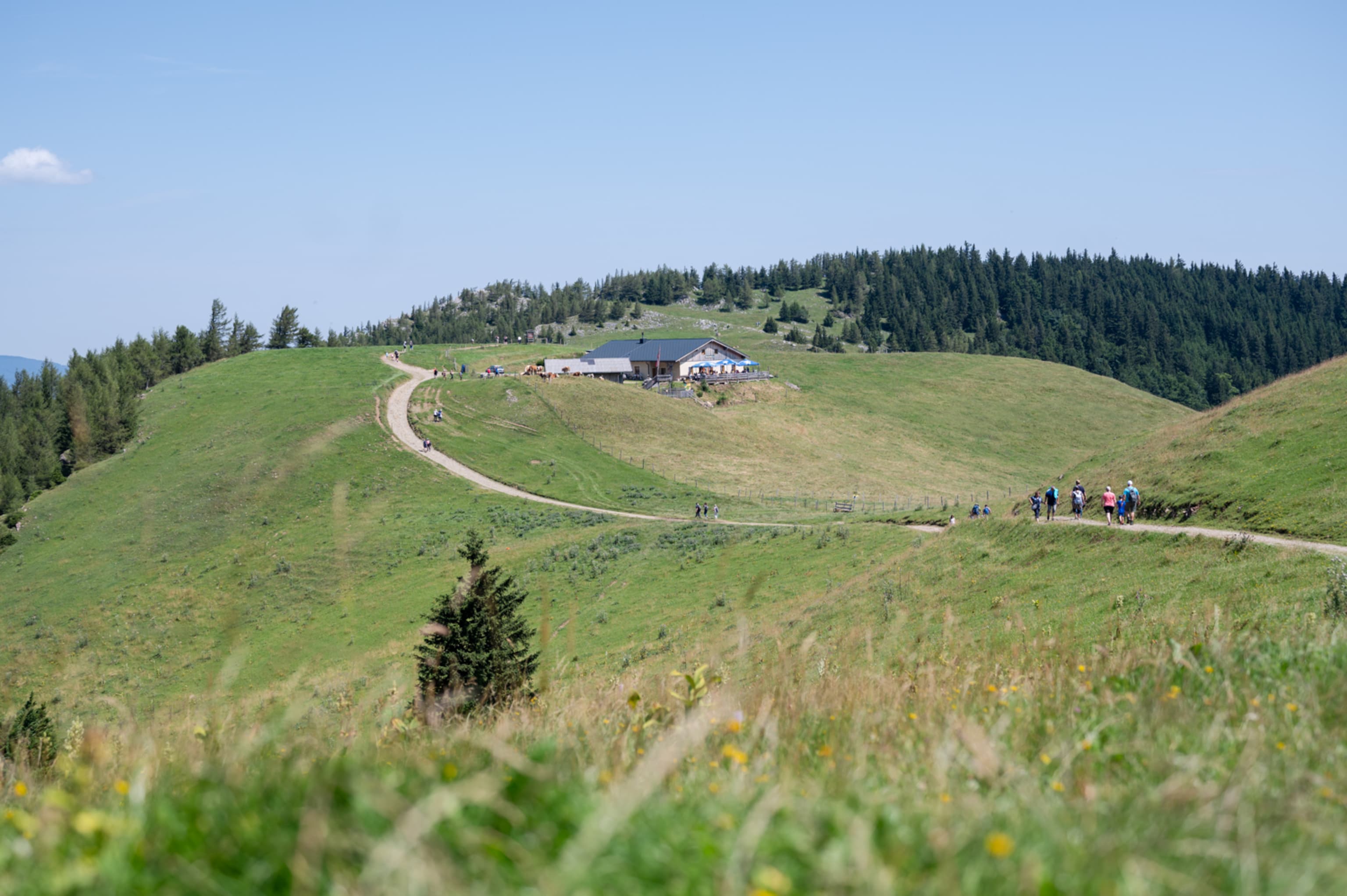 Wanderer am Weg zum Almreserlhaus am Schneeberg