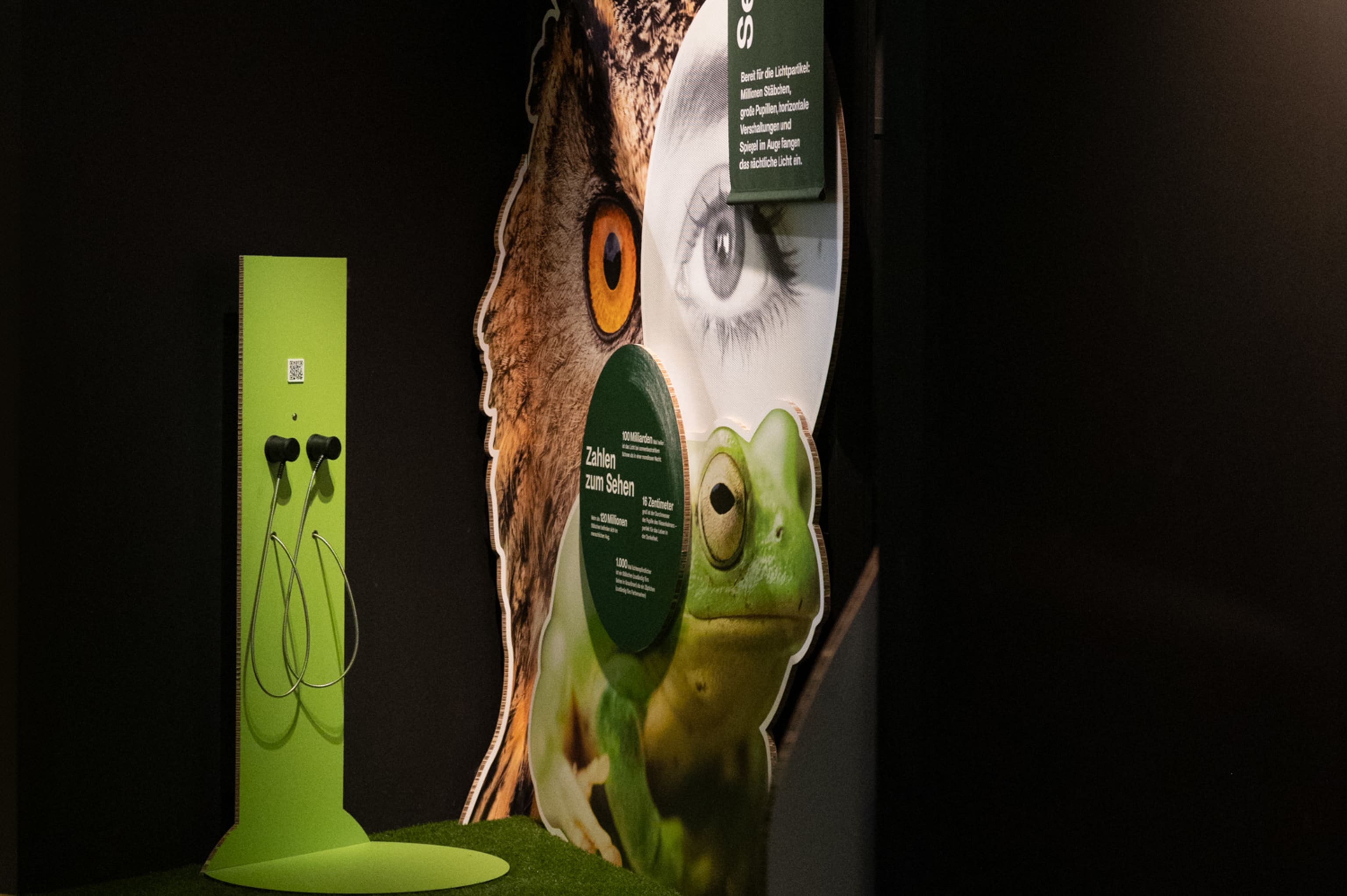 Tiere der Nacht, Sonderausstellung im Haus für Natur, Museum Niederösterreich