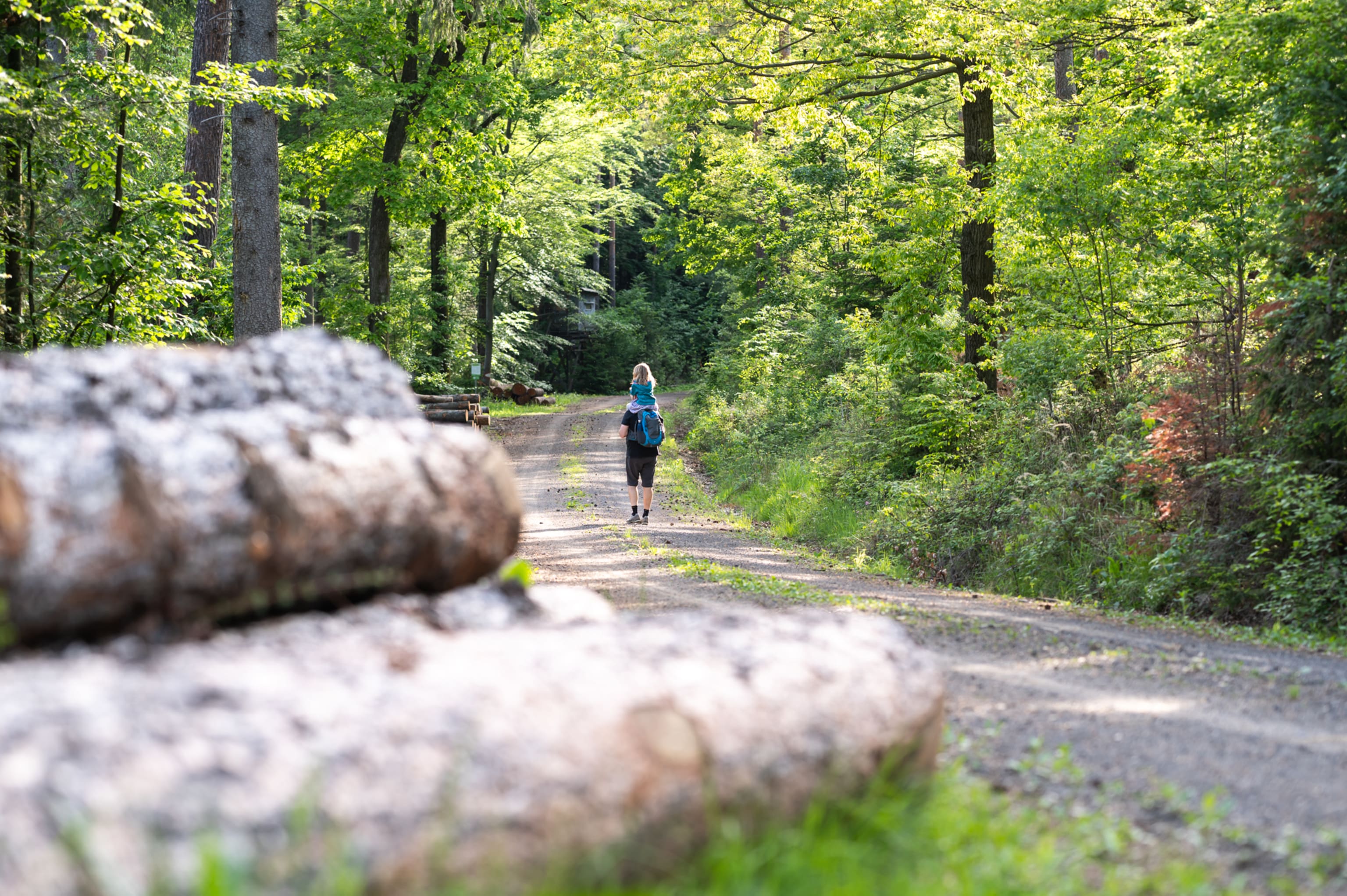 Kraftquellenweg, Waldweg, Mann mit Kind