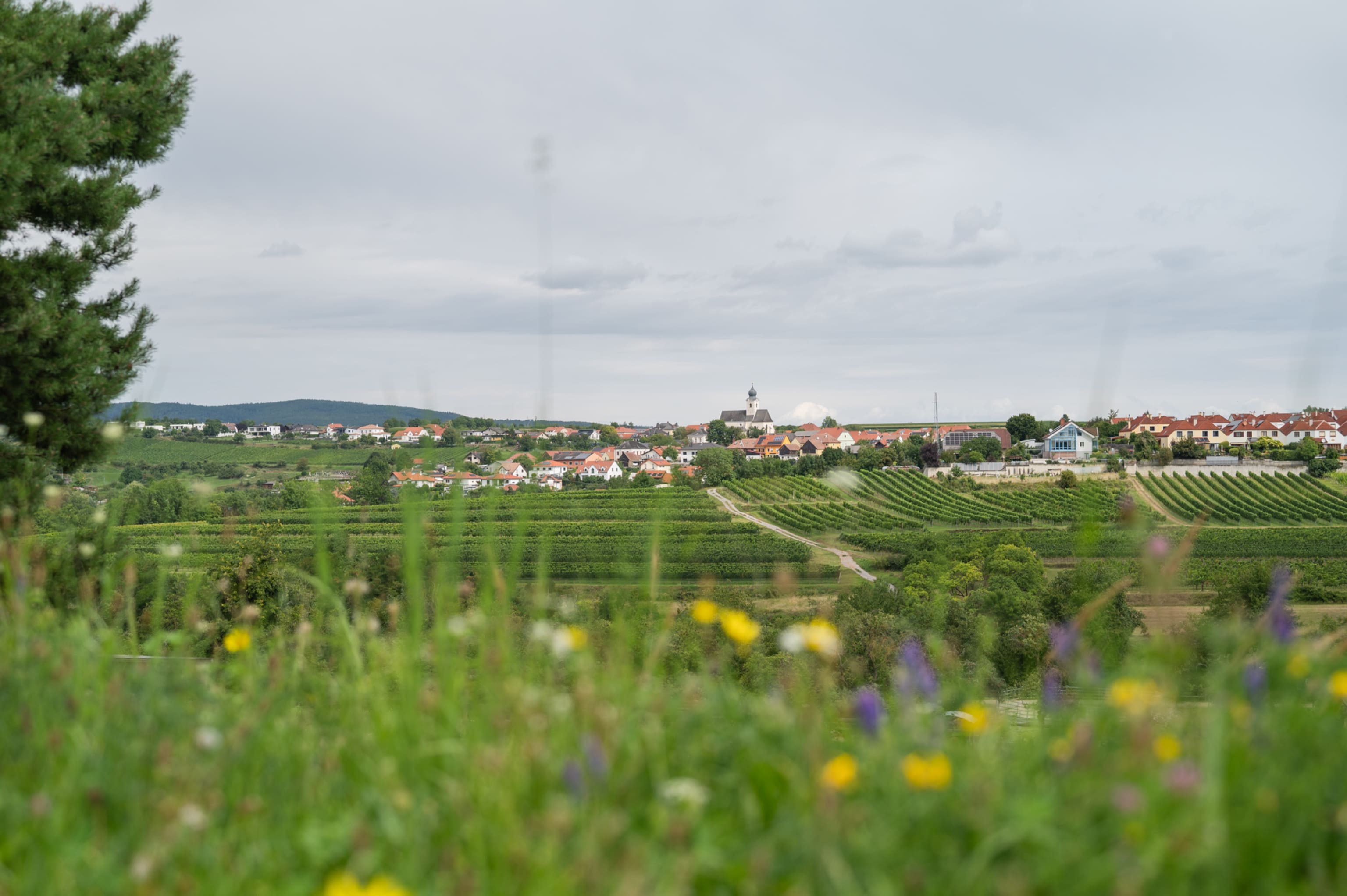 Blick auf Stratzing im Kremstal