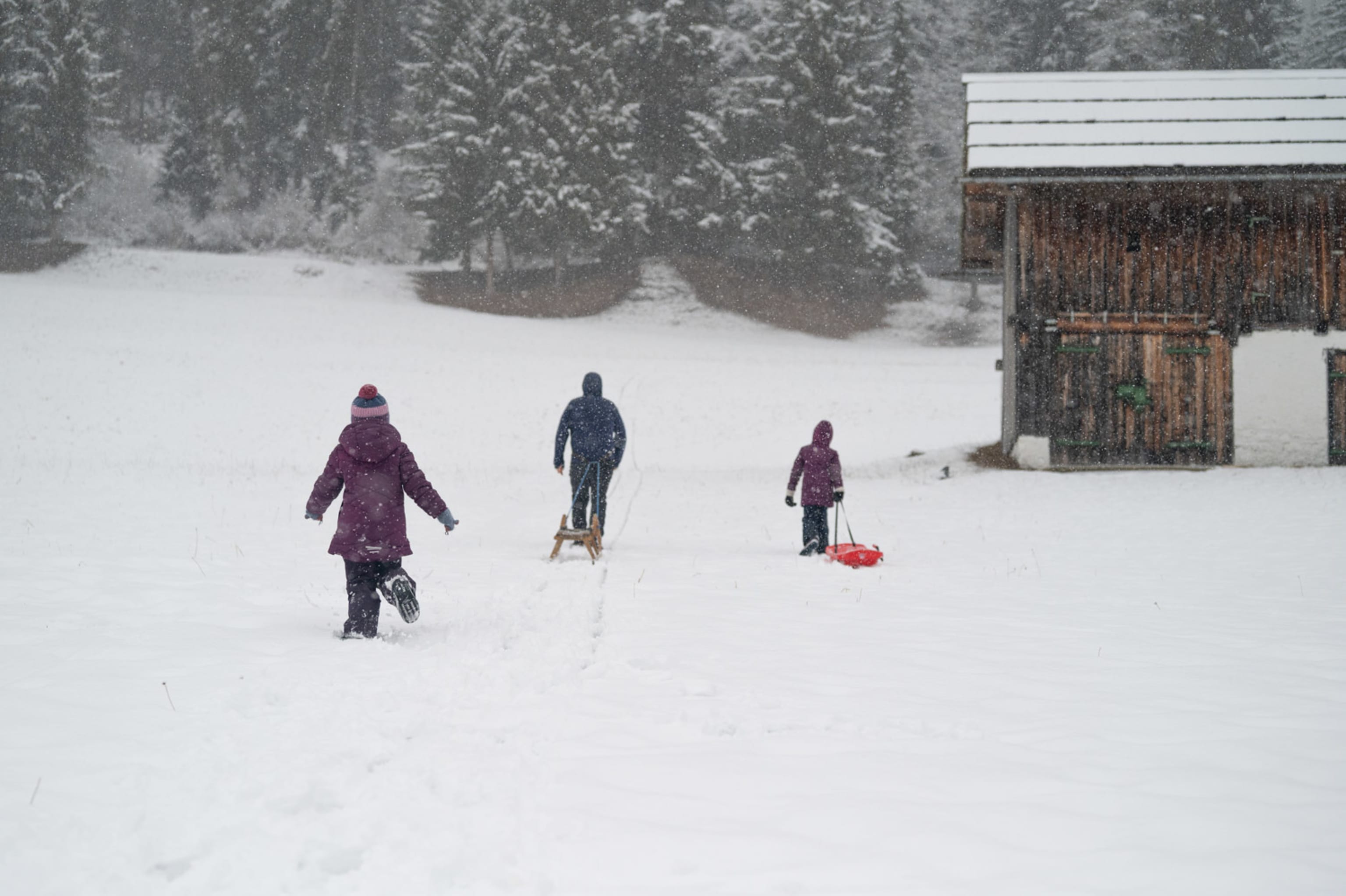 Familien mit Rodel und Bob im Schnee am Weißensee, Kärnten