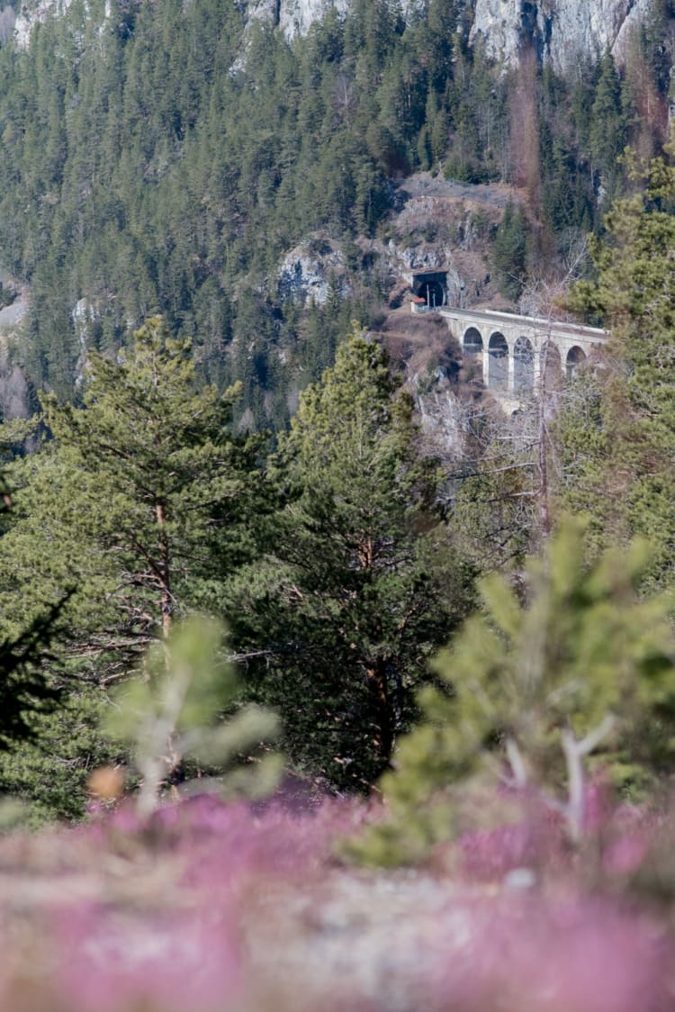 Bahnwanderweg 20 Schilling Blick mit Schneeheide