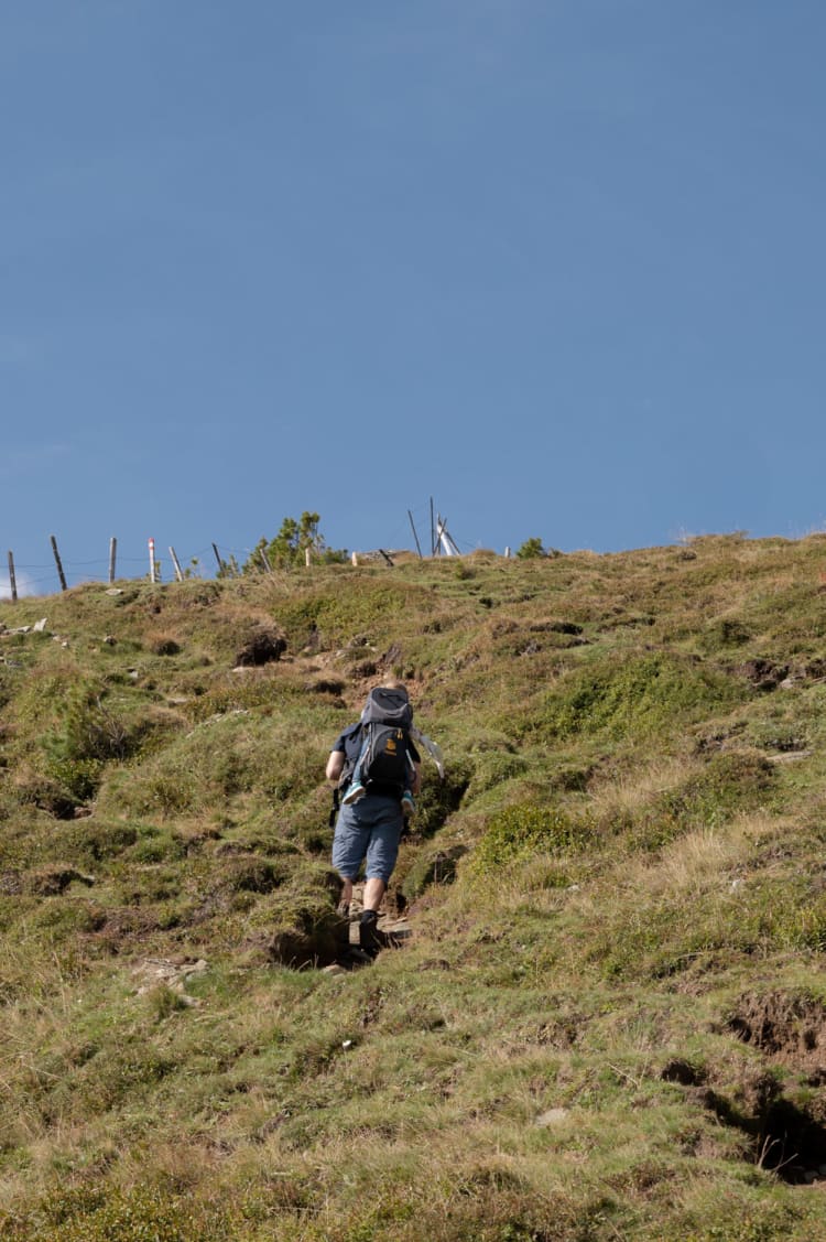 Weg hinauf zum Falkertspitz in Kärnten