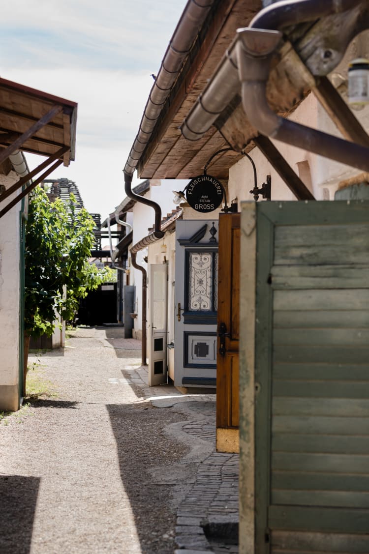 offene Türen im Dorfmuseum Mönchhof