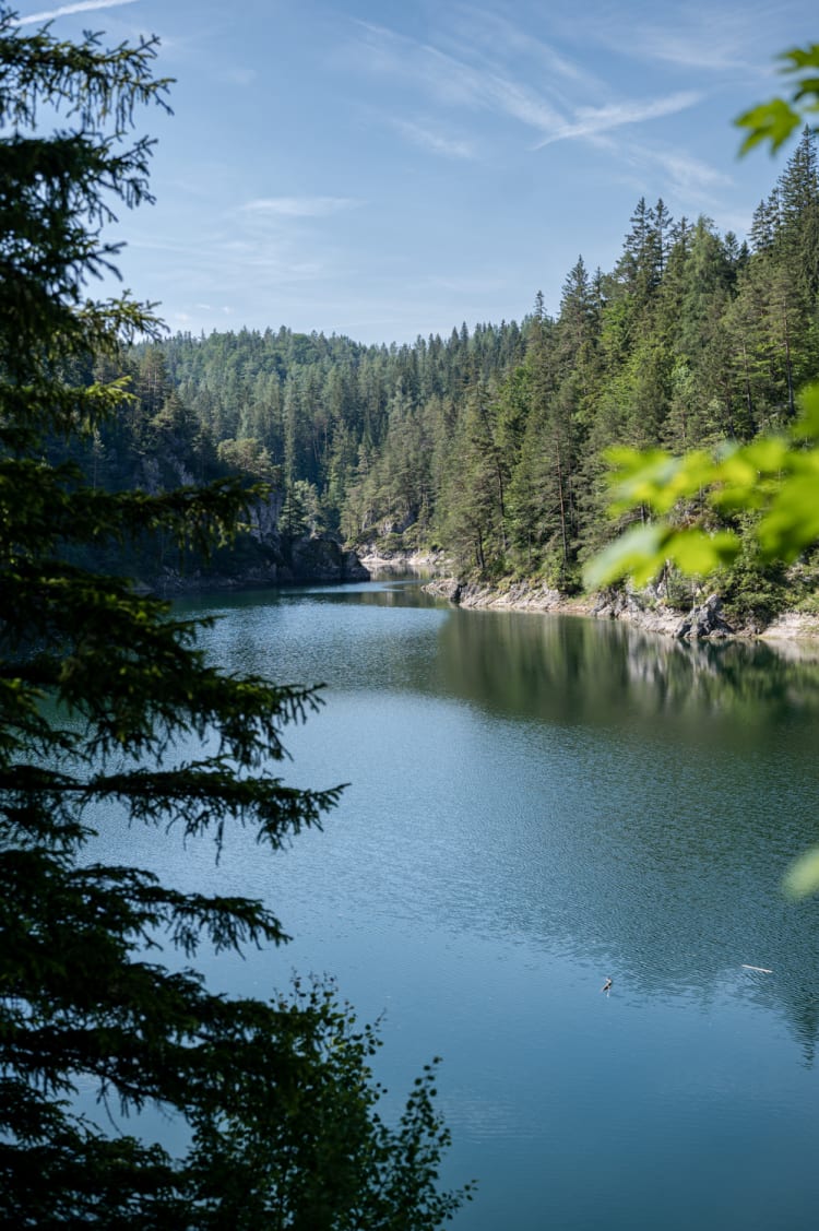 Fjordartig zieht sich der Erlaufstausee kilometerlang durch den Nadelwald.