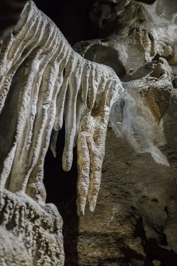 Tropfsteine in der Hermannshöhle bei Kirchberg am Wechsel