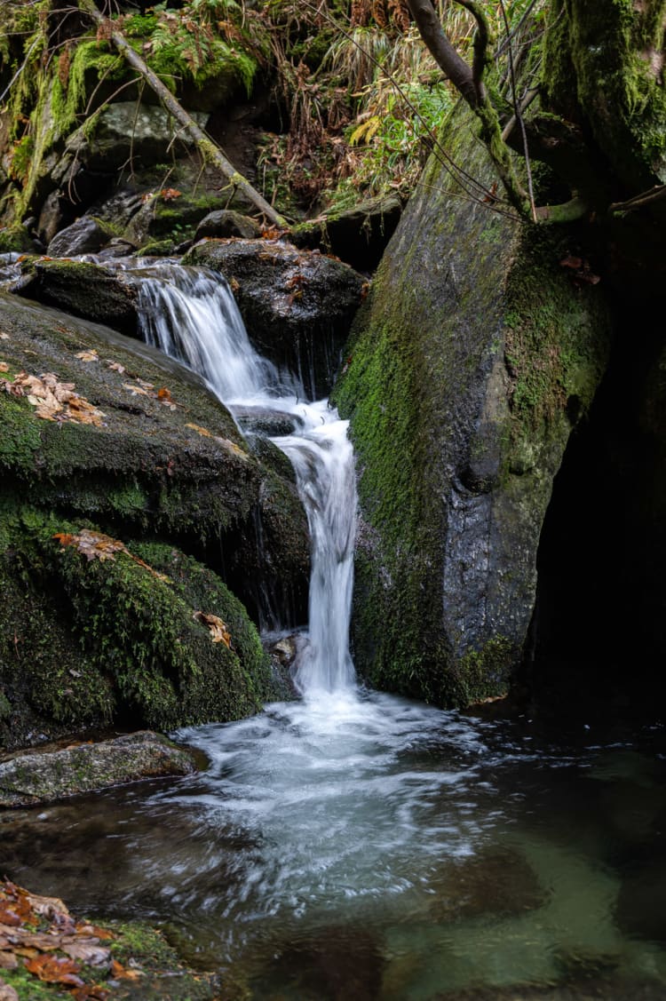 Themenweg Wildwasser in Mariensee am Wechsel