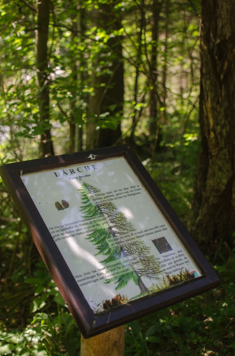 Schild am Naturlehrpfad Kaiserbrunn