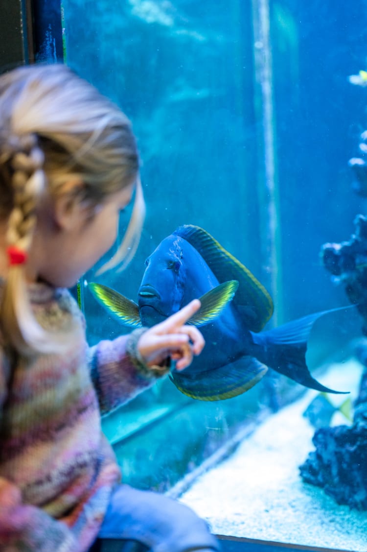 Aquarium im Ökopark Hartberg mit Kind