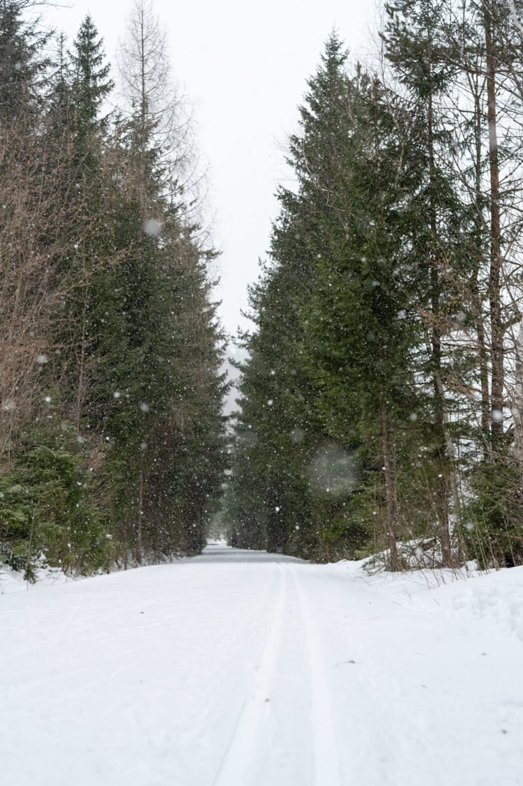 Winterwald in St. Ägyd am Neuwald, Verbindungsloipe Kernhof