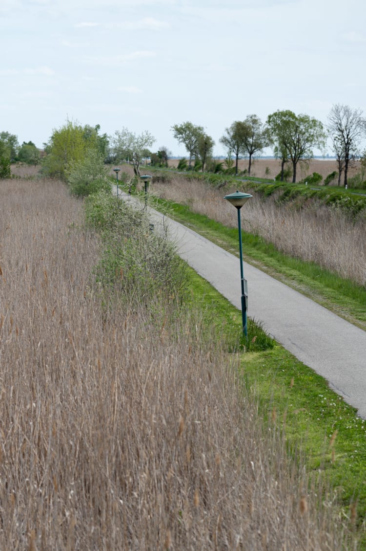 Schilflehrpfad vom Seebad Breitenbrunn nach Breitenbrunn