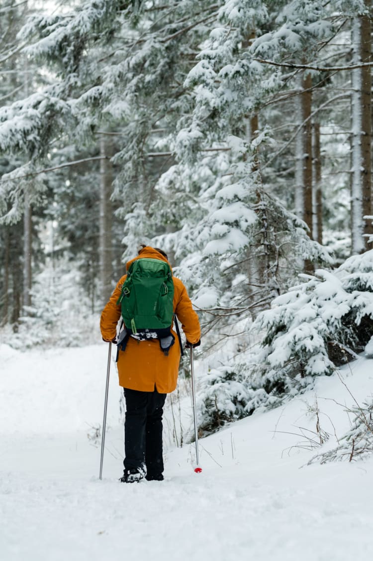 Schneeschuhwanderung bei St. Corona am Wechsel im Winterwald