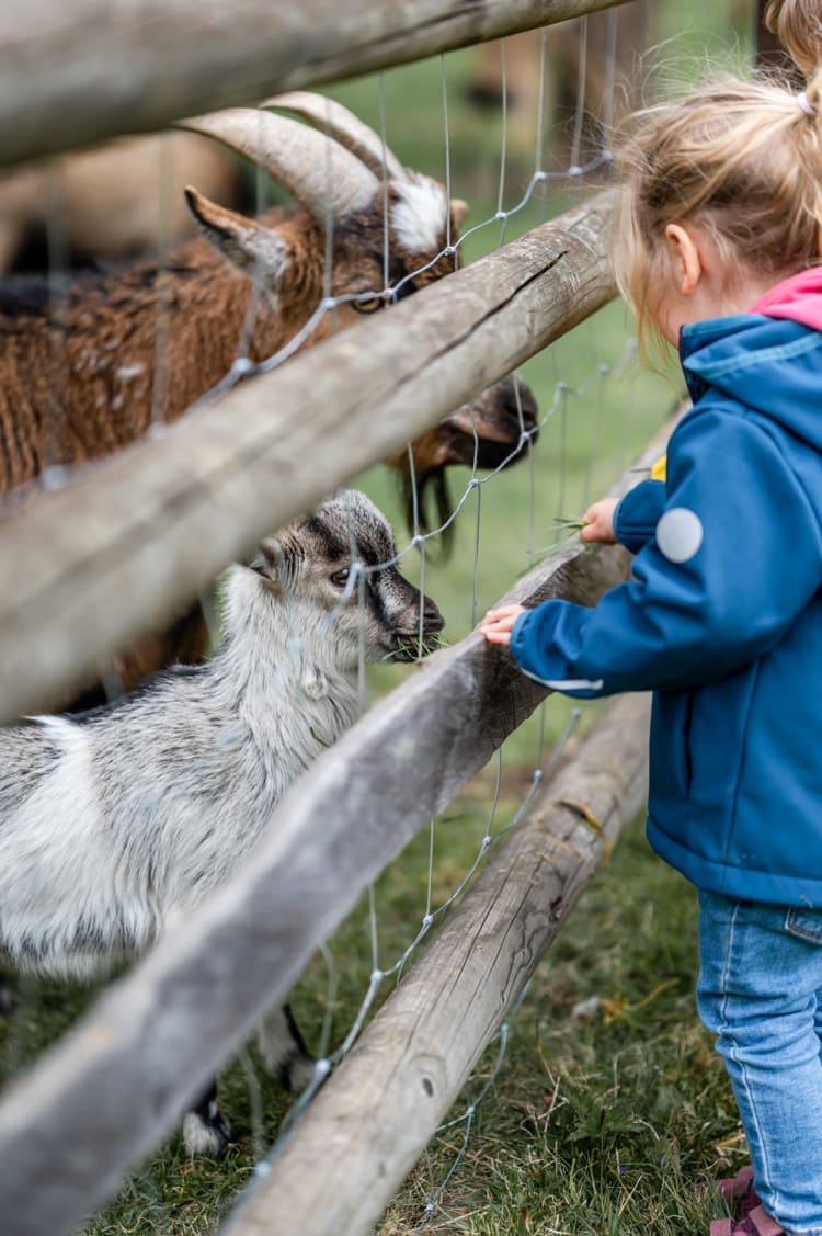 Kinder vor dem Ziegengehege