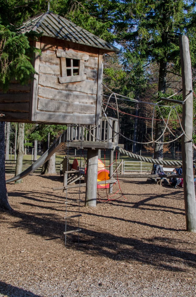 Spielplatz im Naturparkzentrum der Hohen Wand