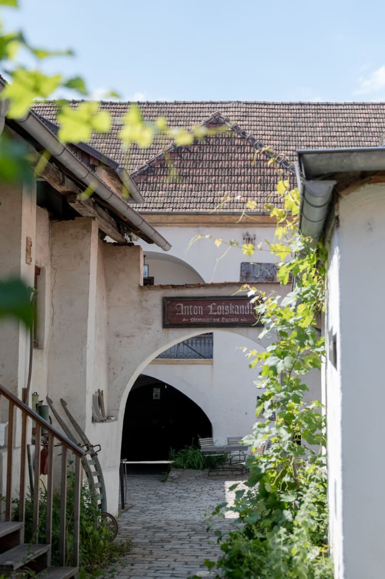 altes Weingut in der LOISIUM Weinwelt