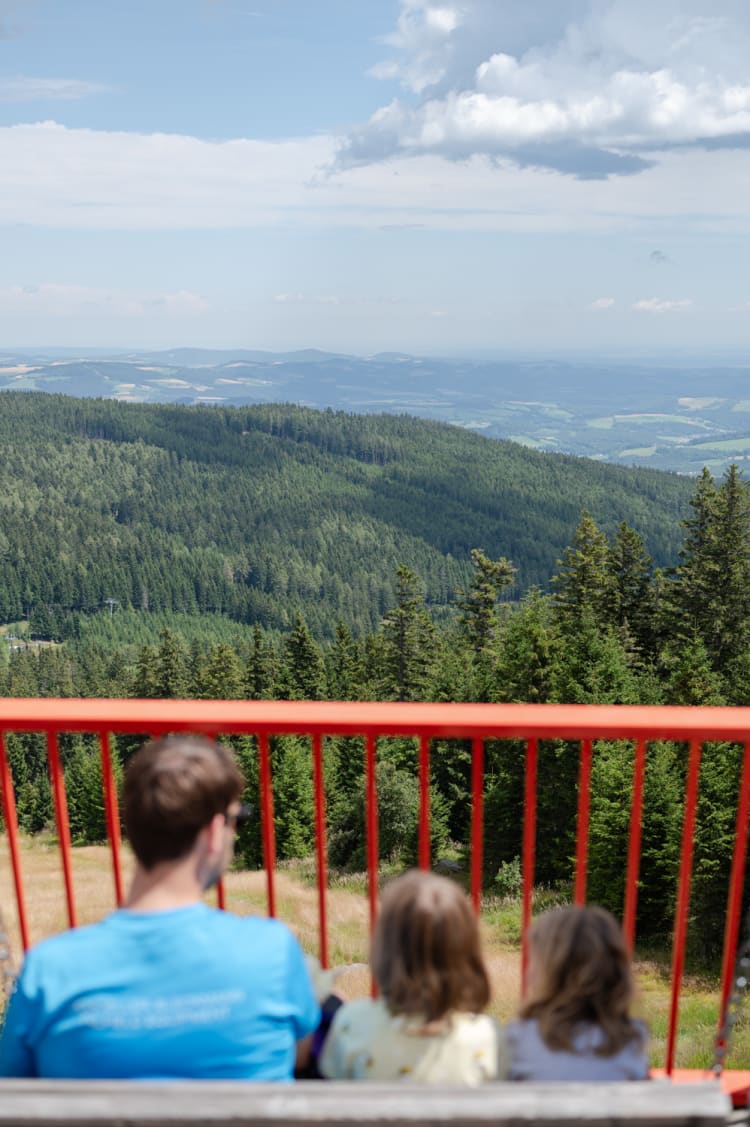 Aussicht genießen auf der Almschaukel, Mönichkirchner Schaukelweg