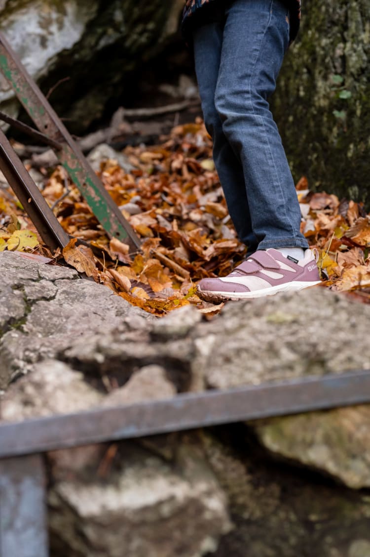 Detail Leiter und Herbstlaub, Drobilsteig, Hohe Wand