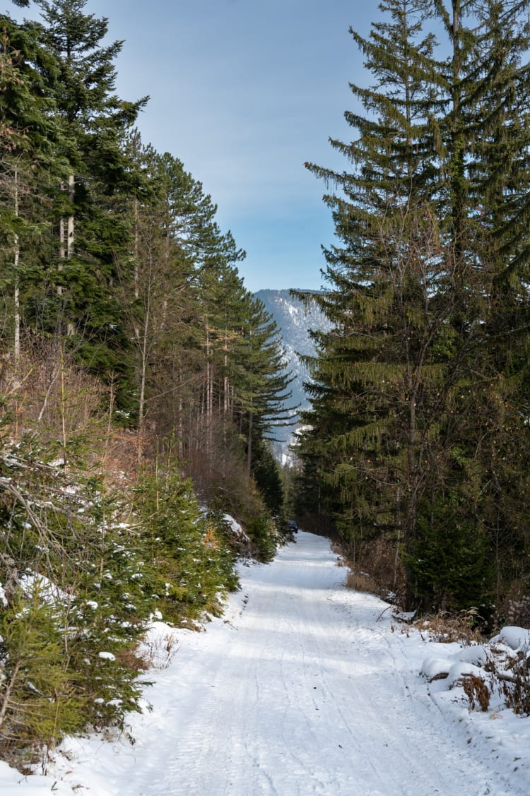 Weg zur Hengsthütte am Schneeberg im Winter