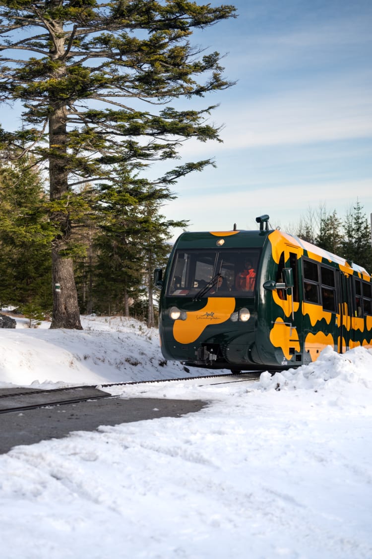 Schneebergbahn, Salamander im Winter bei der Hengsthütte, Winterfahrten