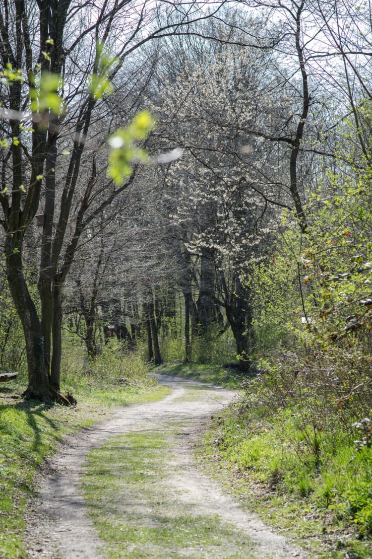 Spazierweg beim Schlosspark Seebenstein im April