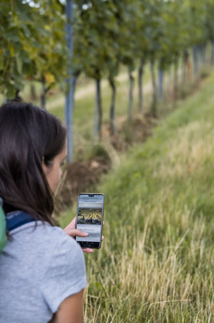 App zur VIA.VINUM. zwischen Göttlesbrunn und Arbesthal