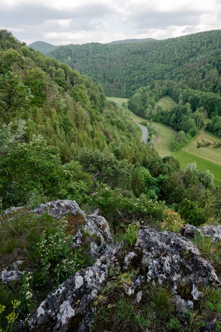 Aussicht von der Eisernen Fahne in Richtung Thernberg am Wanderweg zur Annenruh