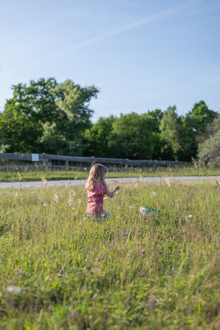Beim Gehege der weißen Esel in der Vila Vita Pannonia