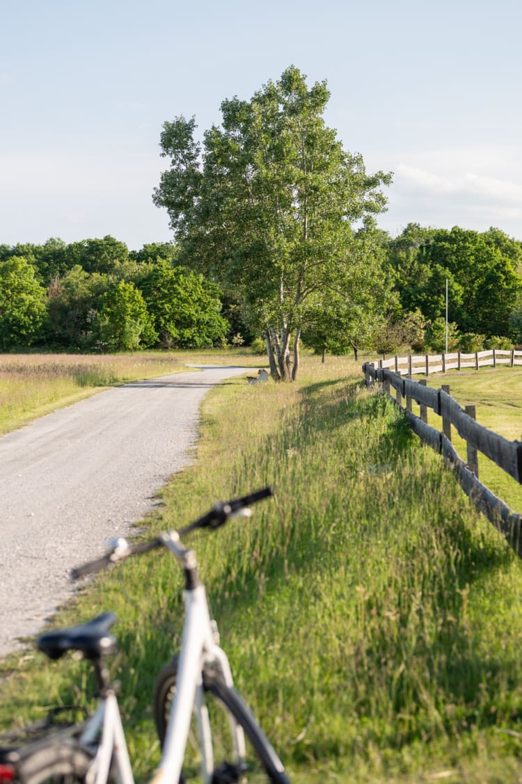 Radfahren in der Vila Vita Pannonia