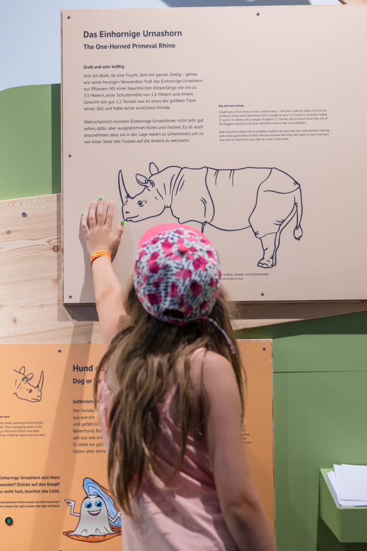 Kind im Museum der Fossilienwelt Weinviertel