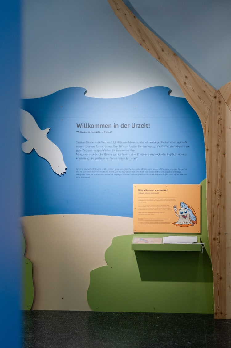 Ausstellungsraum in der Fossilienwelt Weinviertel