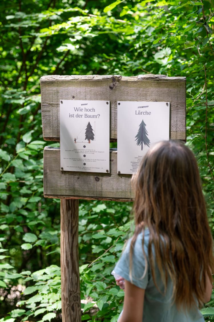 Infotafeln über den Wald im Waldpark Hochreiter