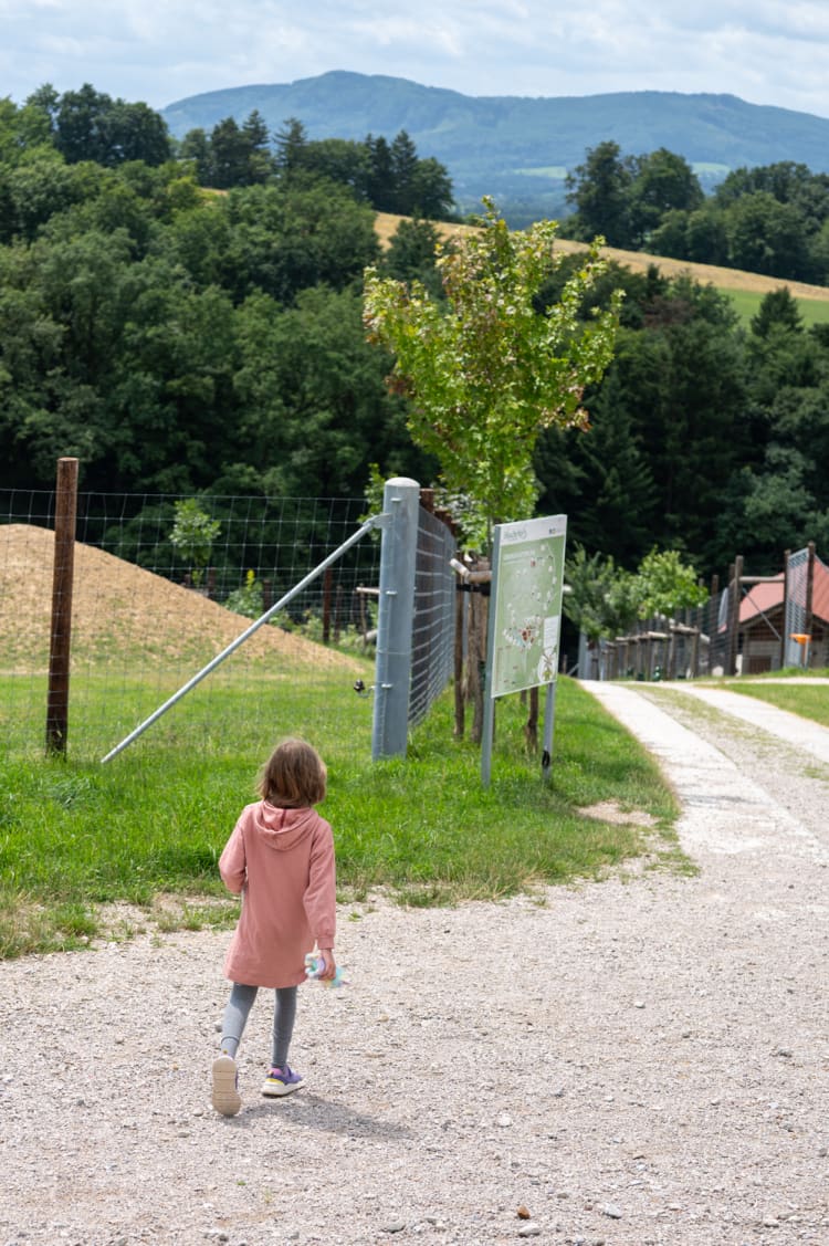 Panoramaweg im Wildpark Hochrieß