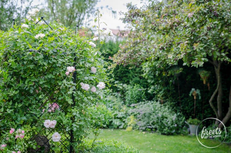 Rosengarten Schaugarten Rainbows End, gartenFESTwochen Tulln 2017