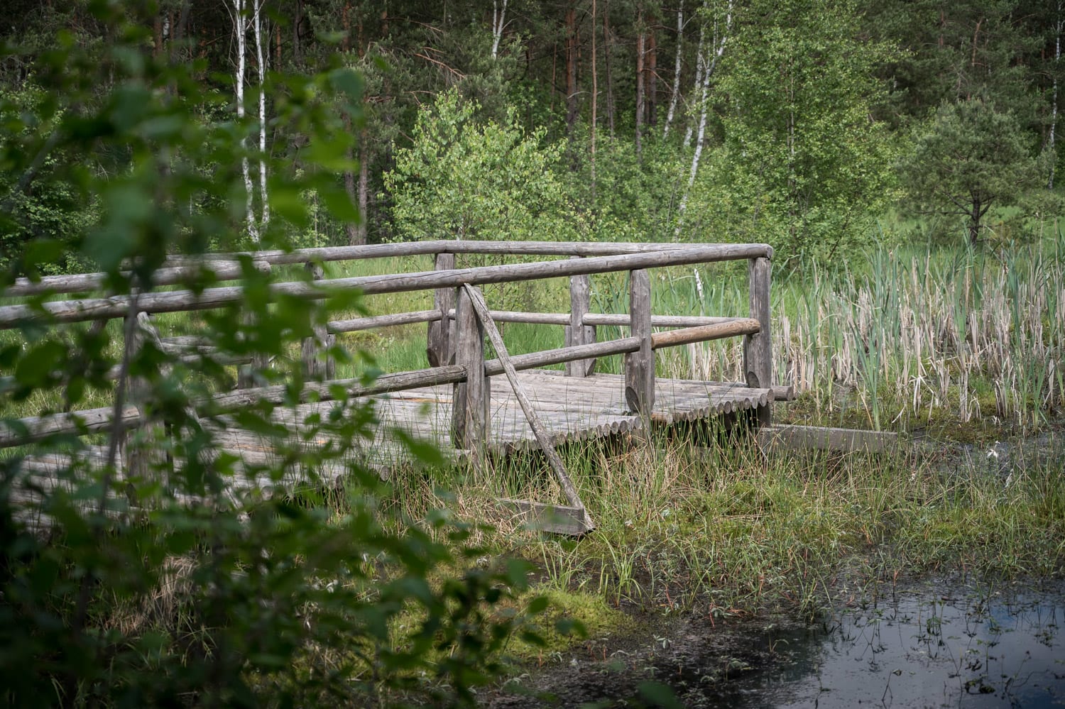 Steg über der Moorfläche am Naturparkweg durchs Hochmooer Schrems