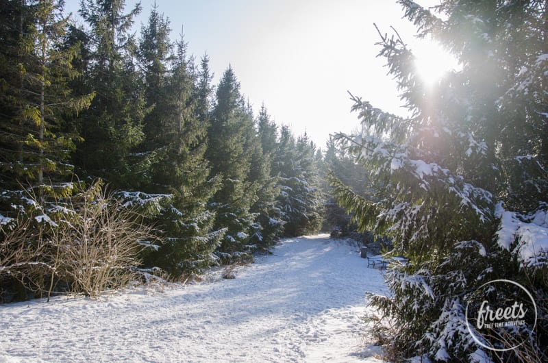 in den Schnee fahren auf die Hohe Wand