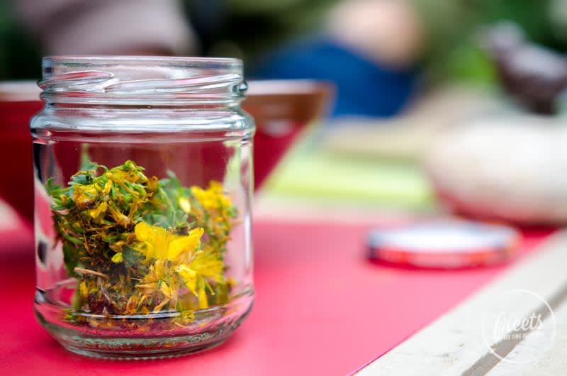 Johanniskrautöl selbst machen, Johanniskraut im Glas