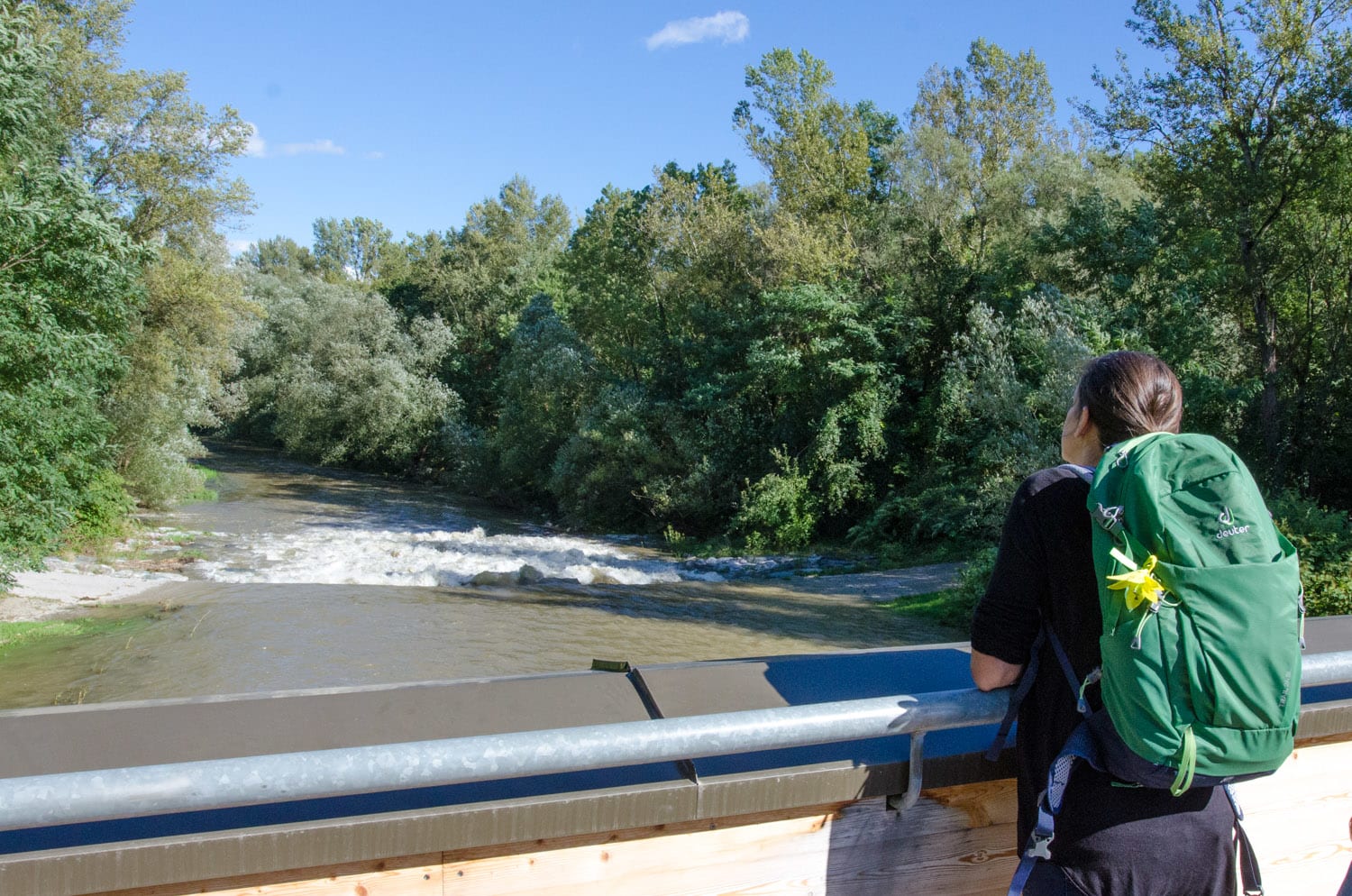 Blick auf die Leitha von der Brücke aus, Katzelsdorf