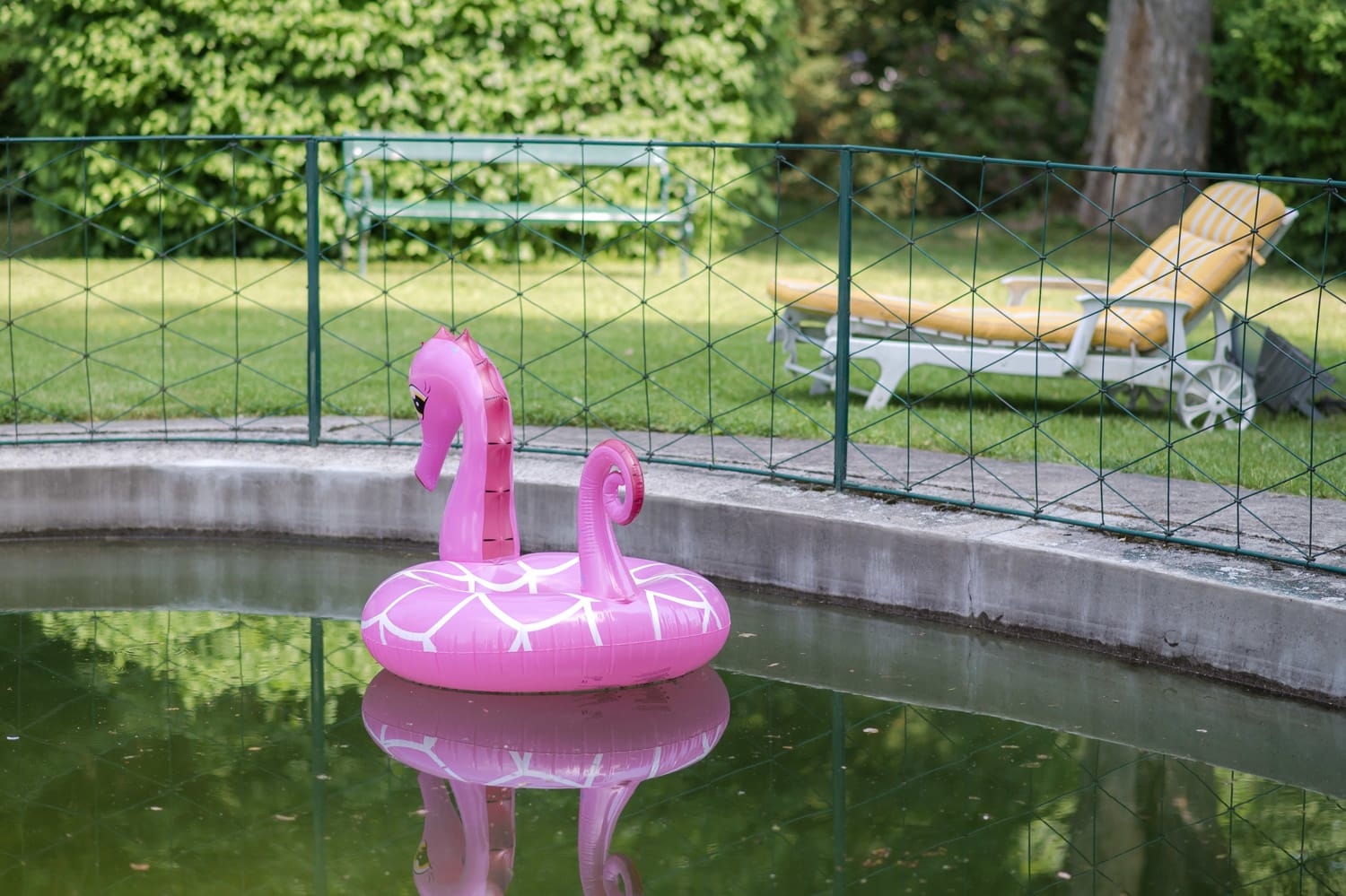 Teich beim Schloss Artstetten