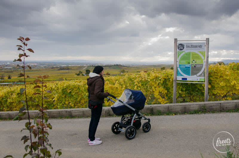 Unterwegs mit Kinderwagen am Weinwanderweg Gumpoldskirchen