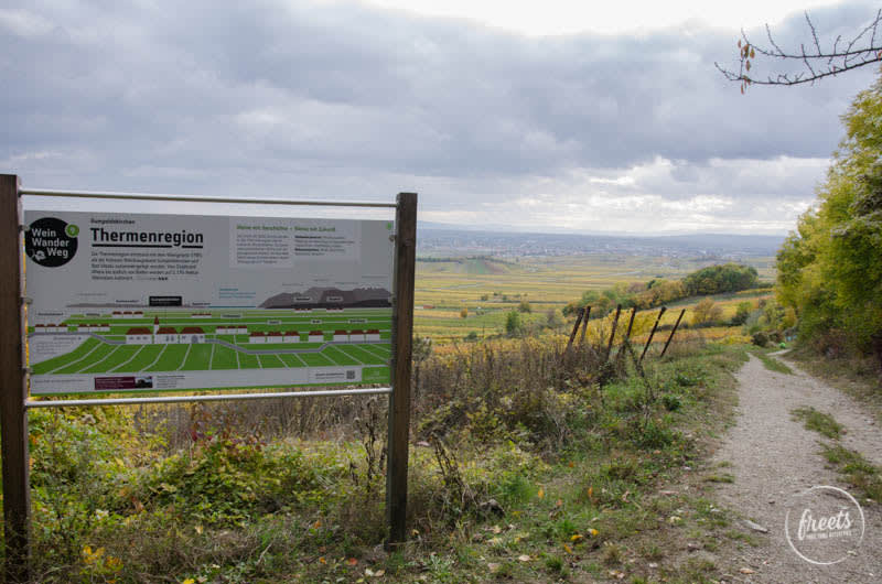 Tafel am Weinwanderweg Gumpoldskirchen