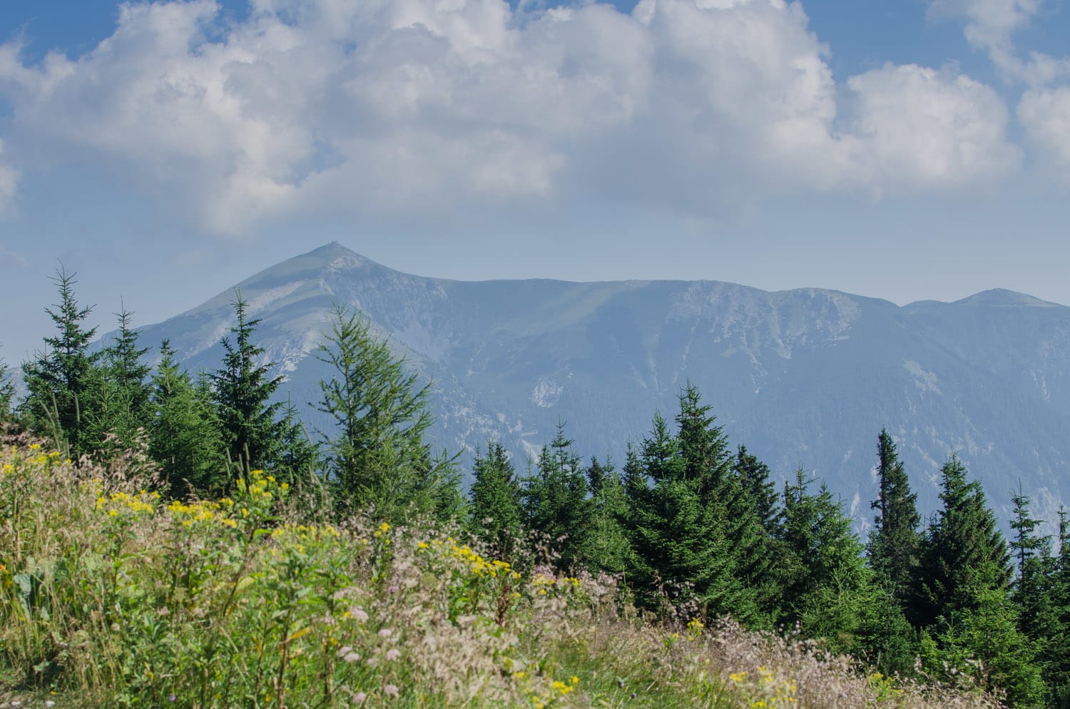 Blick auf den Schneeberg von der Rax aus