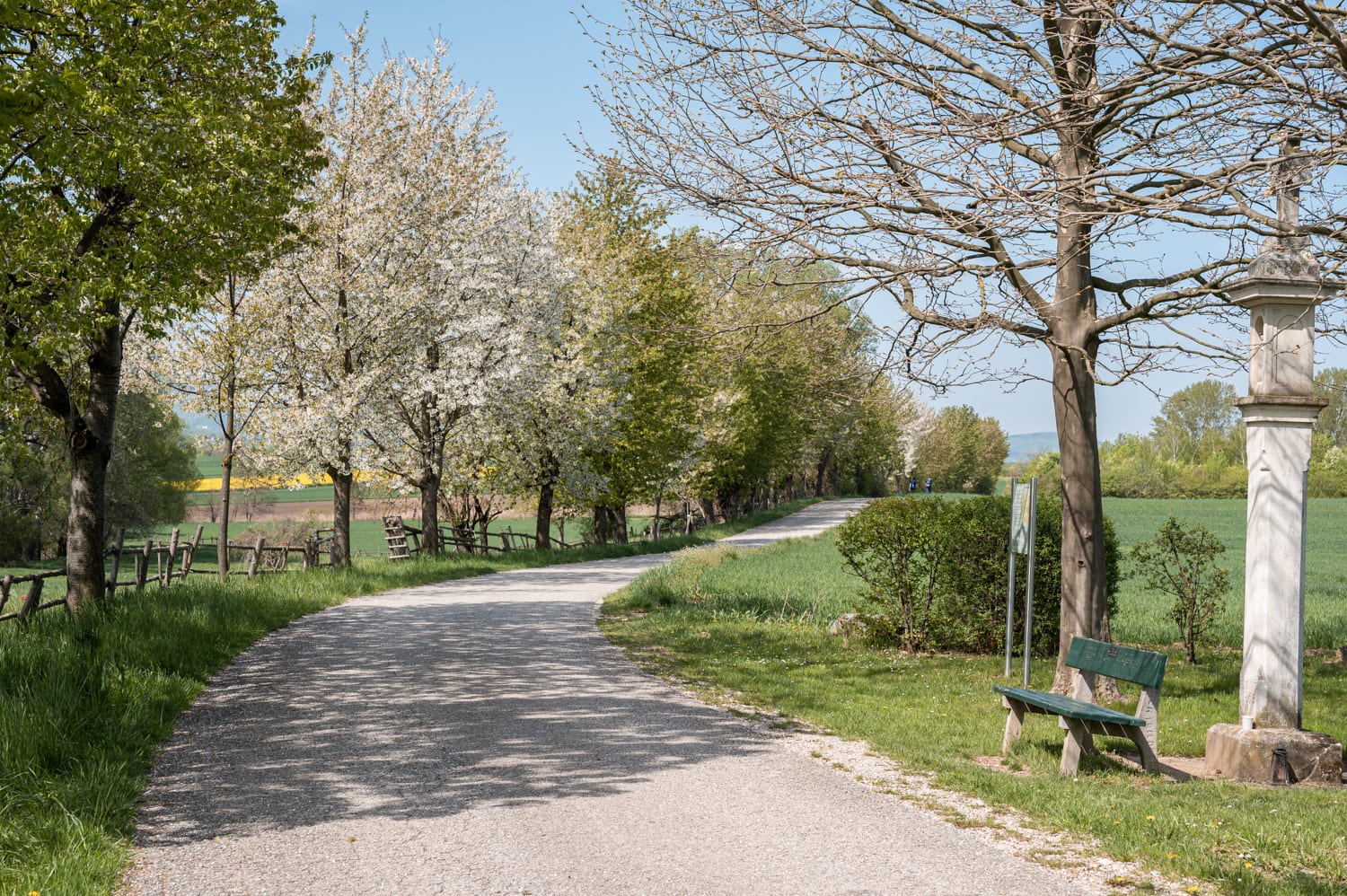 Rundwanderung Teichwiese Rohrbach