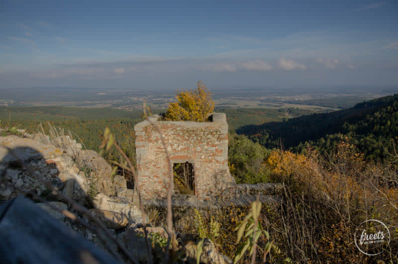 Blick auf den Turm und die Landschaft, Ruine Landsee