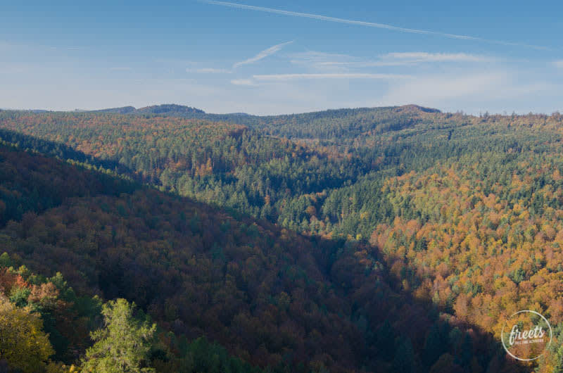 Aussicht Ruine Landsee